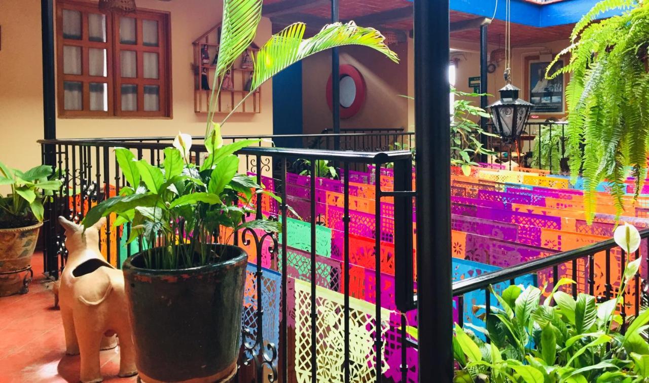 Hotel Cazomalli Oaxaca Exterior photo